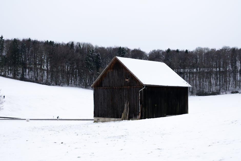 Foto de Andressa Urach em um campo nevado em Bad Urach, Alemanha.