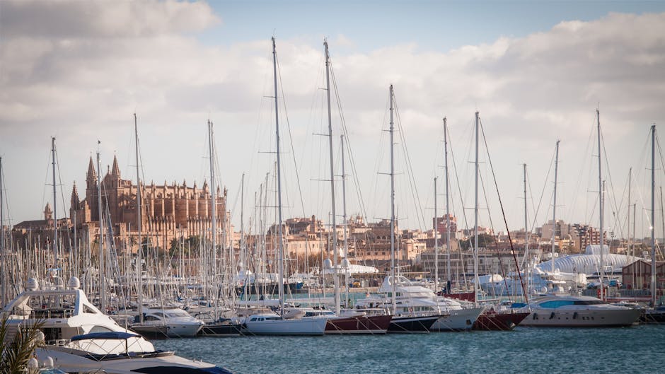 Vista panorâmica da marina de Palma com iates e a Catedral ao fundo.