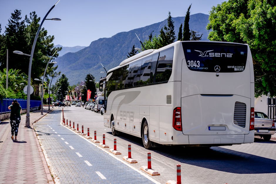 Bilhete da Mega Sena 2902 com os números sorteados em destaque.